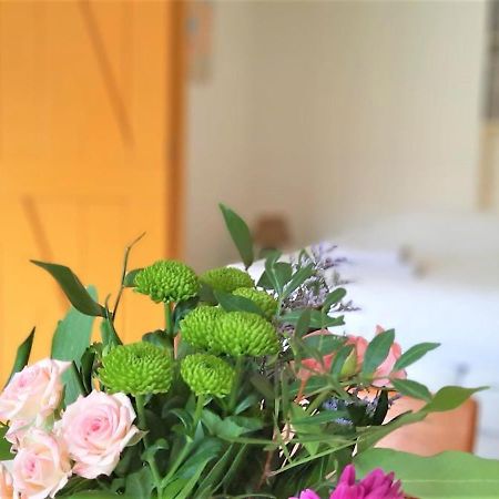 Appartement 2 Met Terras Aan De Tuin Van Op De Roemte Baflo エクステリア 写真