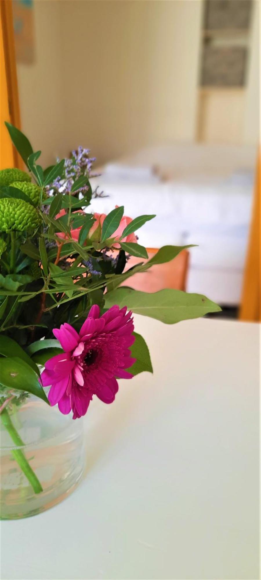 Appartement 2 Met Terras Aan De Tuin Van Op De Roemte Baflo エクステリア 写真